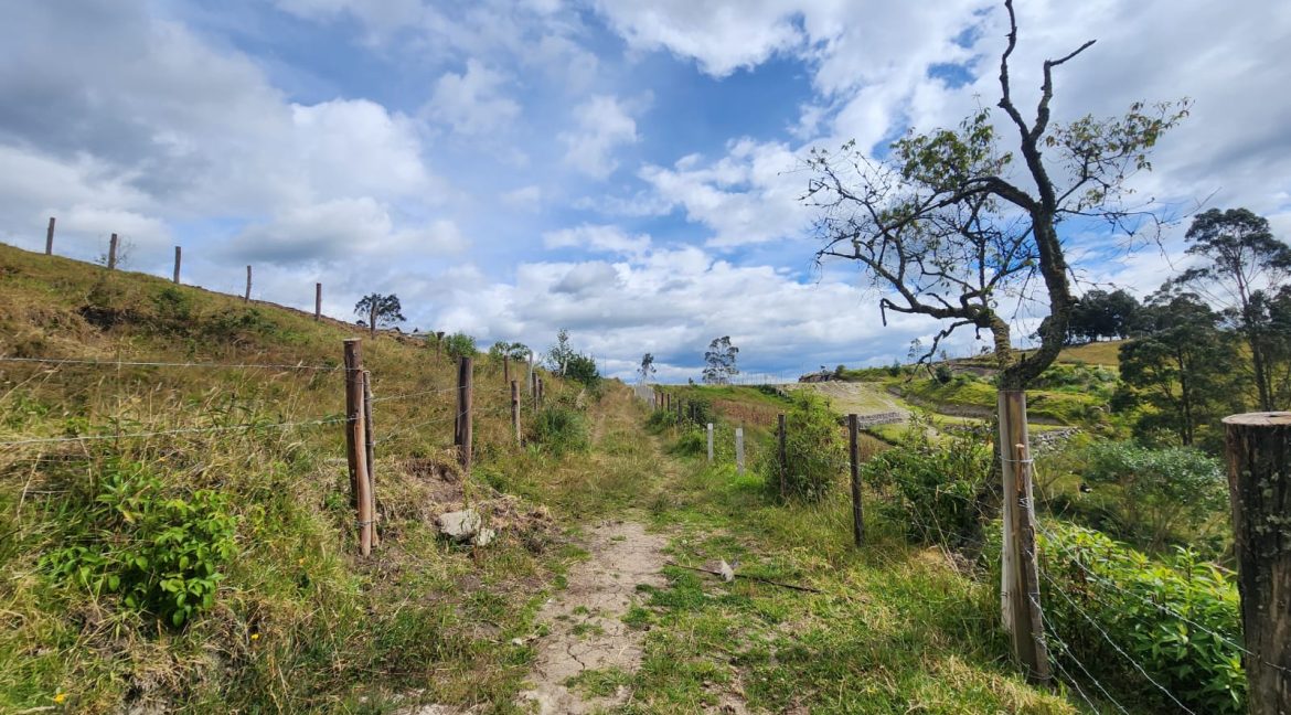 venta terreno Turi